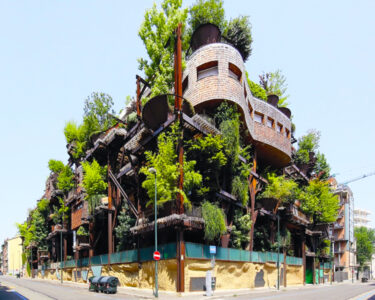 Torino: una «casa sull’albero» o un albero dentro una casa?