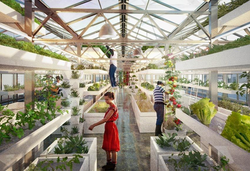 Architettura, cibo e agricoltura: assaggi della città autosufficiente