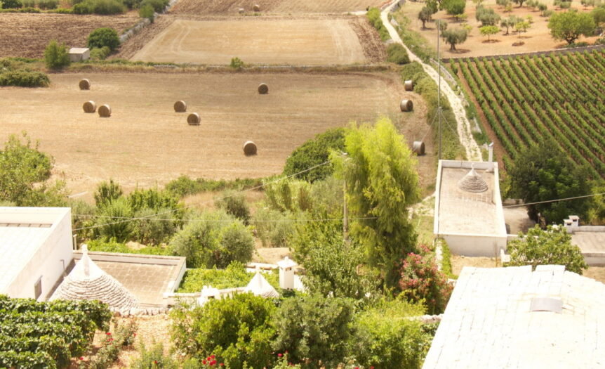 La giusta distanza. I piani paesaggistici tra vincoli e progetti di paesaggio