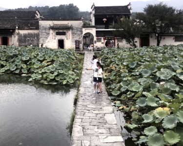 Cina, urbanizzazione e nostalgia nelle aree rurali