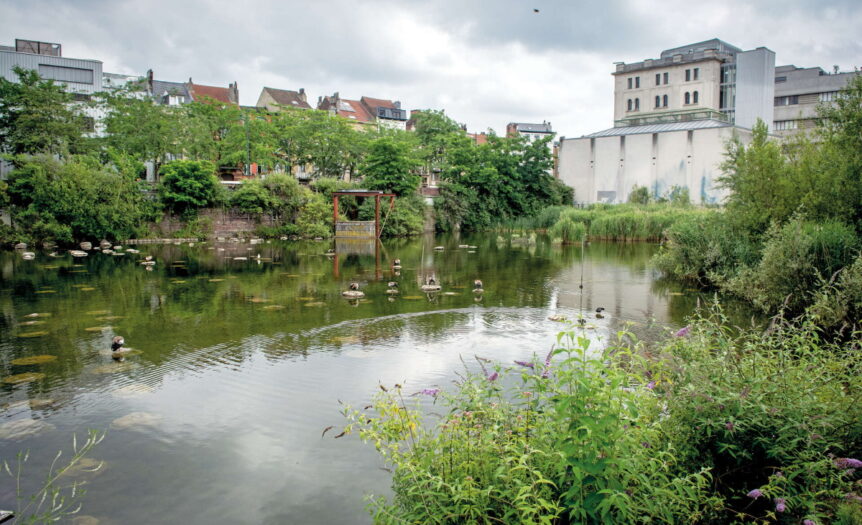 Lago Bullicante e Marais Wiels, inselvatichimento vs speculazione