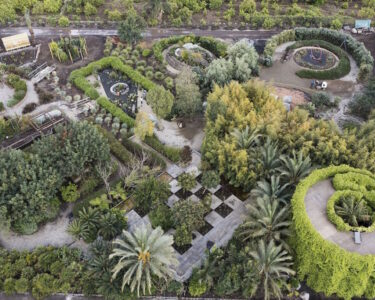 Un carrubo per Radicepura Garden Festival 2023