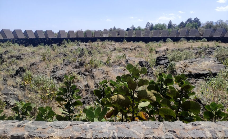 The International Carlo Scarpa Prize for Public Art Gardens in Mexico