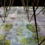 Garden © Riccardo Tosetto