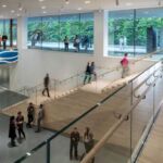 Helen and Charles Schwab Hall featuring Sol Lewitt’s Wall Drawing 895: Loopy Doopy (white and
blue) (1999) at SFMOMA; photo: © Henrik Kam, courtesy SFMOMA