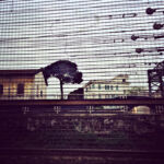 © Antonia Marmo