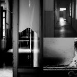 © Laura Fogazza