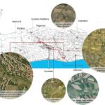 Grosseto: progetto Grosseto città diffusa: la periferia torna al centro