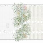 Claudia Amias e Joan Battle della Escula Tecnica Superior de Arquitectura di Barcellona puntano l’attenzione sul tema della riforestazione nelle zone aride con il giardino Through Vegetation.