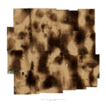 Francesco Nonino, Habitat, 2013