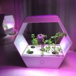 Il progetto "Linfa" di Robonica srl, presentato alla terza edizione di "Seeds&Chips"