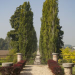 Viale d’accesso alla Tenuta di Borgo Cornalese, Villastellone © Giorgio Olivero