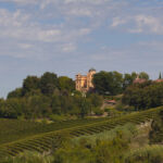 Vigneti alla Tenuta La Mandoletta, Casale Monferrato © Giorgio Olivero