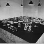 The Museum of Modern Art Archives, New York