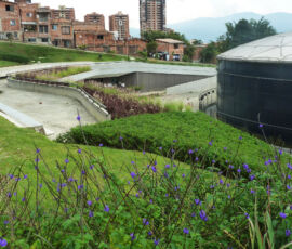 UVA Ilusion Verde, Poblado (©Luca Bullaro, docente Universidad Nacional de Colombia)