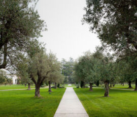 Spazi esterni e sistemazioni a verde intervento di recupero dell’Isola di Sacca Sessola, Venezia, CZ studio associati. Foto Marco Zanta