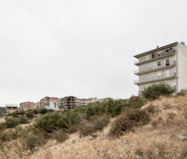 ©Alessandro Guida