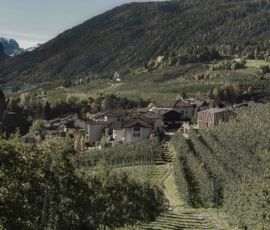 Nuova casa sociale
per l’abitato di Caltron
Cles, Tn
(Progettista:
Mirko Franzoso)
