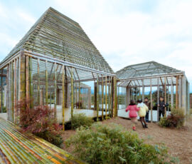 Bamboo Pavilion, Damushan Area 2014-15
