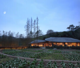Philip F. Yuan_In Bamboo ® Bian Lin
