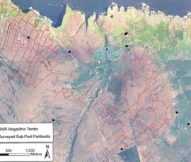 Il reticolo di muretto neolitici della zona di I Céide Fields