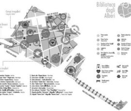 Parco Biblioteca degli Alberi (studio Inside Outside – Petra Blaisse, Piet Oudolf)