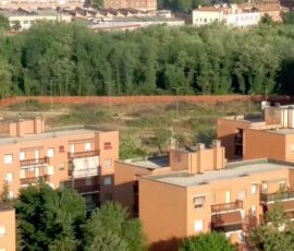 Bologna. Prati di Caprara: vista della vegetazione sul canale (©Luca Gullì)