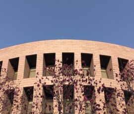 Humanities and Social Sciences Library (©Silvia Lanteri)