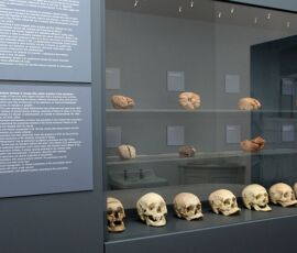 Museo del Manicomio, San Servolo (Foto: museomanicomio.servizimetropolitani.ve.it/)