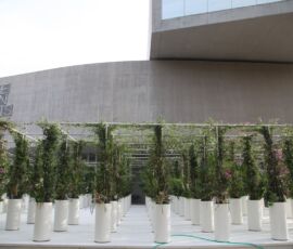 (Courtesy Fondazione MAXXI)