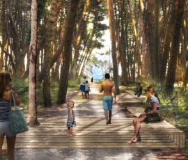 La nuova accessibilità alla spiaggia attraverso la pineta