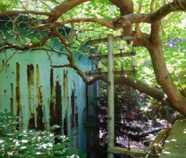 L'Orto Botanico di Palermo (© Lucia Pierro e Marco Scarpinato)