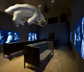Homo Faber. Singular Talents © Lola Moser