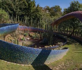 Giardino di cactus (© Archivio Senosiain)