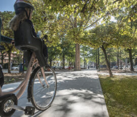 Piazzale Maestri (Parma). Dettaglio della pista ciclabile