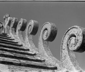Gattoni rampanti del Duomo di Orvieto, particolare (© Gian Luigi Banfi, Fondo Julia e Gian Luigi Banfi, Milano)