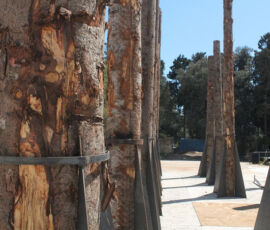 Stefano Boeri Architetti, Un Bosco Morto, Le Troiane Siracusa, progetto scenico (© Anastasia Kucherova)