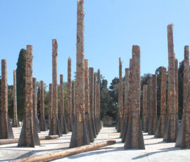 Stefano Boeri Architetti, Un Bosco Morto, Le Troiane Siracusa, progetto scenico (© Anastasia Kucherova)