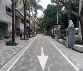 La avenida la Playa (© Emanuele Caporrella)
