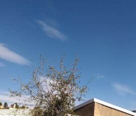 Tra l'auditorium e il blocco dei servizi si apre una corte