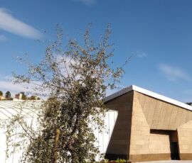 Tra l'auditorium e il blocco dei servizi si apre la corte