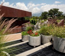 La terrazza aperta