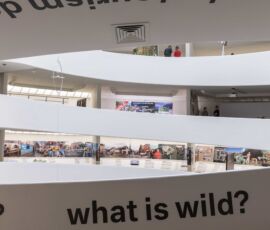 La mostra "Countryside. The future", Solomon R.Guggenheim museum NY, (©Laurian Ghinitoiu, AMO)