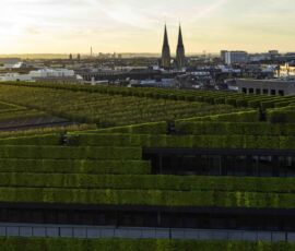 Koebogen 2 (© ingenhoven architects / HGEsch)