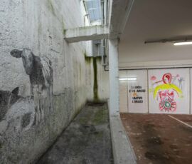 In primo piano: "Vitellini" di Stefano Arienti (Asola, 1961), acrilico su intonaco, dimensione ambiente, 2020