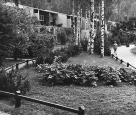 Kaija + Heikki Siren, case a schiera Kontiontie 3 a Tapiola, 1954 (foto: Teuvo Kanerva / KAMU Espoo City Museum)