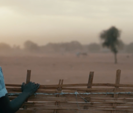 © "The great green wall", docufilm di Jared P. Scott, Seville International e Make Waves Production, 2019
