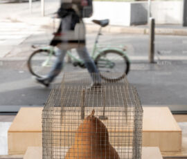 Pianca&Partners_AndreaBranzi_Lanuovastanza_phAndreaMartiradonna