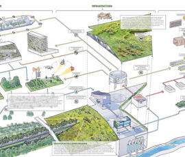 Esploso delle funzioni ecologiche previste dal progetto (© Outcomist)