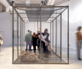 Christina Agapakis, Alexandra Daisy Ginsberg e Sissel Tolaas, "Resurrecting the Sublime" (© Fabio Oggero)